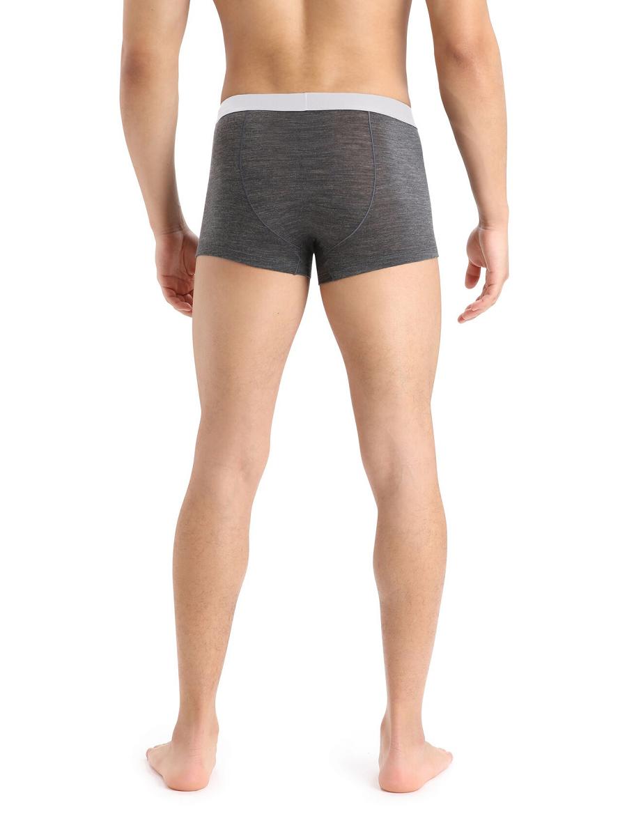 Bielizny Icebreaker Cool-Lite™ Merino Anatomica Trunks Męskie Taupe | PL 1659XYUF